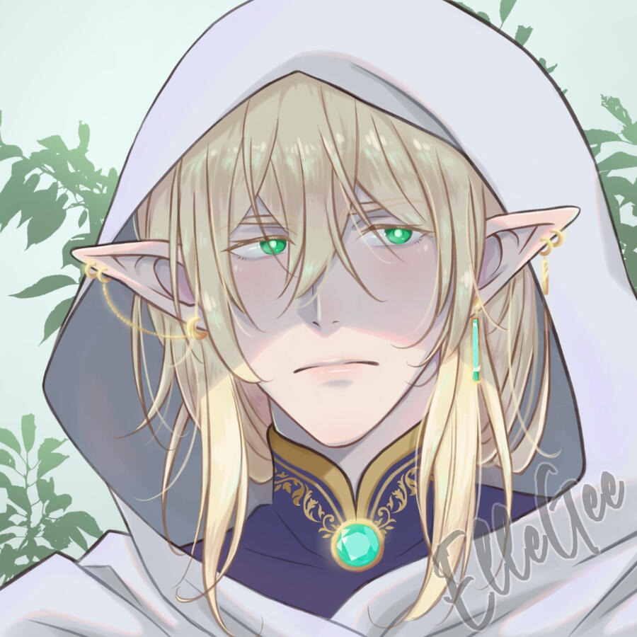 Male Elf Male Elf