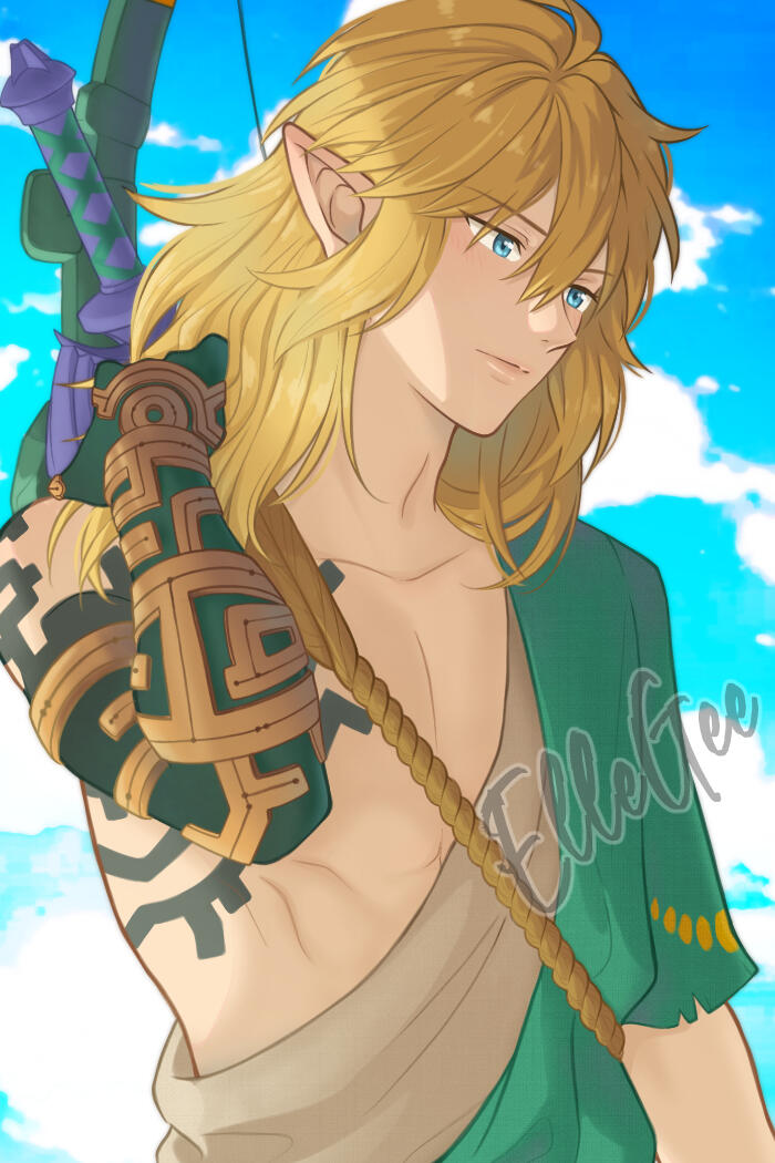 Link from Tears of the Kingdom